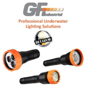 GFI Torches